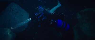 Kate? Kate, I can hear you!
Can you hear me? - 47 Meters Down