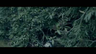 - [kathleen] after he committed - Invisible Monsters: Serial Killers in America
