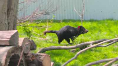 Katrina: Do you see them?
Melissa: Oh my gosh, so small. - Secrets of the Zoo