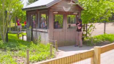 Katrina: It's happening.
All right, guys. - Secrets of the Zoo