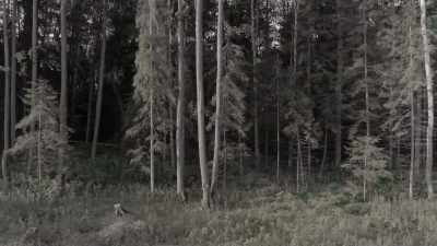 Katyn is still a stumbling block - KGB - The Sword and the Shield