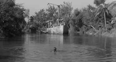 Kay, what are you doing out there?
Come on back! - Creature from the Black Lagoon
