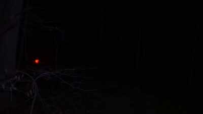 KAYLEE: Oh... it was
the devil. It was the devil... - The Wendigo