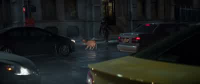Kazi! Kazi! -We gotta go! -MAN 2: Let's go, bro! Kazi! We go now! Come on! Let's get to the van and - Hawkeye