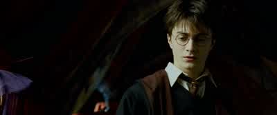 - Keep a closer eye on your pet. - Harry Potter and the Prisoner of Azkaban