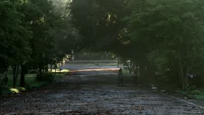 Keep coming. - The Walking Dead