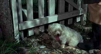 Keep that dog under control. - Age of Consent