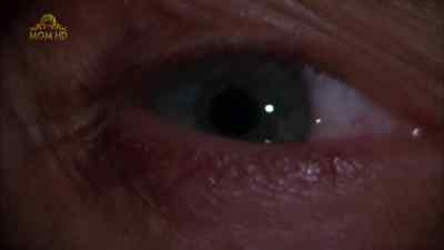 Keep your eyes open - Wild Bill