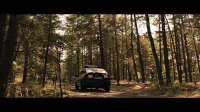 Keep your eyes peeled
for Mariusz and his brother. - Nobody Sleeps in the Woods Tonight