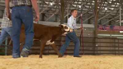 Keep going. - The Incredible Dr. Pol