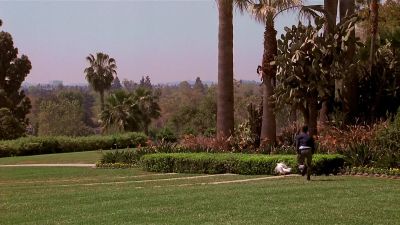 Keep practicing Joey - Beverly Hills Ninja