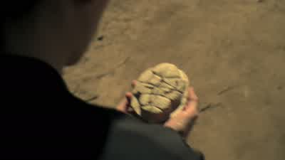 Keep staring. - Westworld