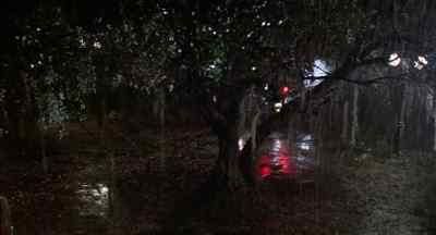 Keep it steady, Westridge. - The Return of the Living Dead