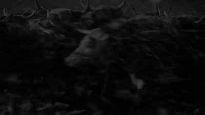 Keep them cattle out of my wheat! - The Sea of Grass