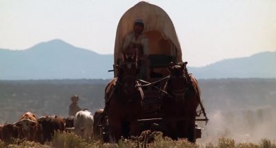 Keep them dogies rollin' - City Slickers