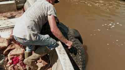 Keep them like that coming, - Swamp People