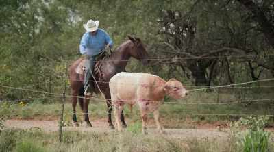 Keep it tight, Cheech.
I won't let him get you, Donnie. - How to Be a Cowboy