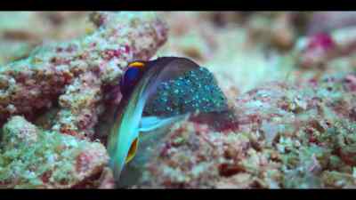 Keeping your babies safe is
an around-the-clock challenge. - Our Oceans
