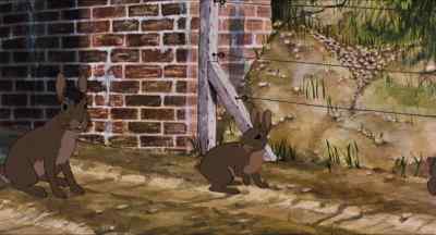 Kehaar! - Watership Down