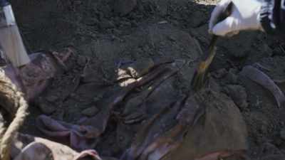 Keith: There were stab wounds - Buried In The Backyard