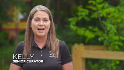Kelly: We're going to
open up all the doors and - Secrets of the Zoo