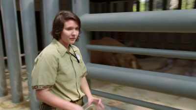 -KELSEY: Come on, handsome.
-(RHINO GRUNTING) - Magic of Disney's Animal Kingdom