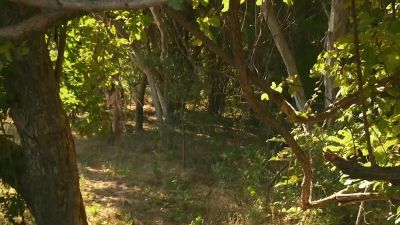      [kerra] matt, that was
          a epic fail. - Naked and Afraid