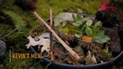 KEVIN: If I could've done
one thing better, - Chefs vs Wild