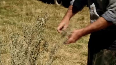 Key card. - Longmire