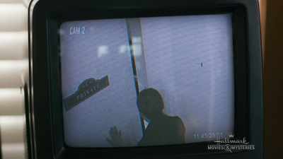 [keyboard clicking] - Chronicle Mysteries: Vines that Bind