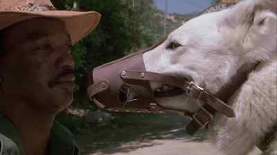 Keys, if you work
on that bastard... - White Dog