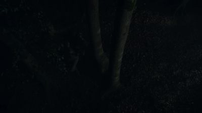 Kick all you like, wolf girl. - Game of Thrones