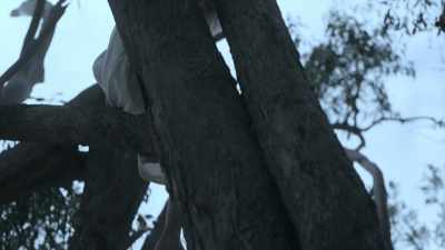 KIDS: Asha! Asha! Asha! - The Clearing