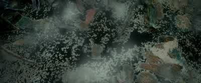 KILI: These vines look strong enough. - The Hobbit: The Desolation of Smaug