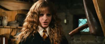 Kill?- Harry, wait! - Harry Potter and the Chamber of Secrets