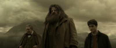 Kill it? - Harry Potter and the Half Blood Prince