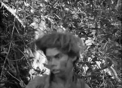 Kill the pig!
Slit her throat! Bash her in! - Lord of the Flies