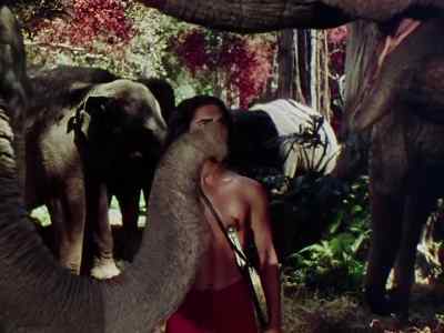 Kill them? Why? - Jungle Book