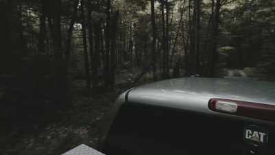 Kind of just a two-hour thing
until evening - Missing 411: The Hunted