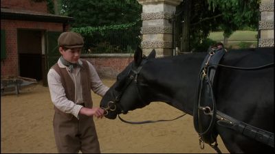 Kind treatment makes good horses Joe - Black Beauty