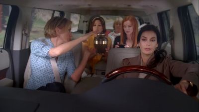 Kinda looks like cat litter. - Desperate Housewives