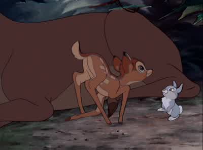 Kinda wobbly, isn't he? - Bambi