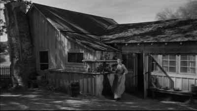 Kip? Oh, Kip! - The Tin Star