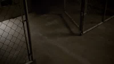 What is that? - Teen Wolf