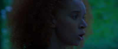 Kit! Kit! Kit! Kit! - Willow
