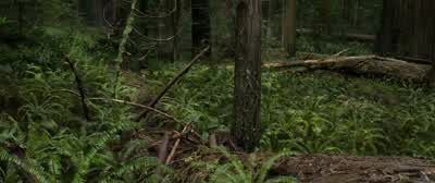 KITAI: Ten mikes out. - After Earth