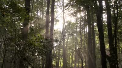 Klaus must have known. - The Originals