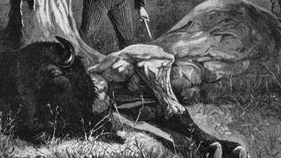 [Knife slicing]
Maybe we were just a greedy lot - The American Buffalo