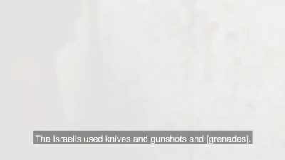 Knives, firearms and... - Killing Gaza