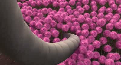 Knock knock. - Horton Hears a Who!